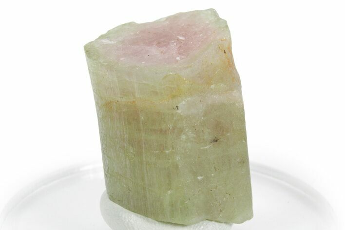 Bicolor Elbaite Watermelon Tourmaline - Afghanistan #354929